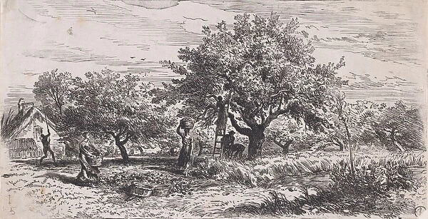 Picking fruit from tree outside cottage, ca. 1852. Creator: Charles Emile Jacque
