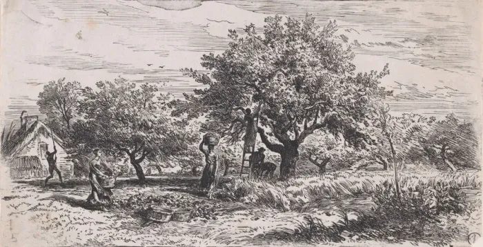 Framed Print : Picking fruit from tree outside cottage, ca. 1852. Creator: Charles Emile Jacque Framed Print : Picking fruit from tree outside cottage, ca. 1852. Creator: Charles Emile Jacque