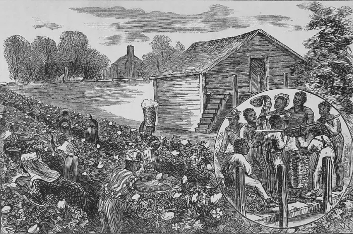 Framed Print : Picking and weighing cotton, 1872. Creator: Unknown Framed Print : Picking and weighing cotton, 1872. Creator: Unknown