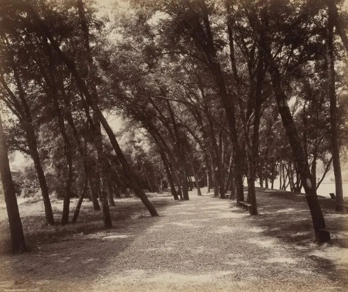 Framed Print : Picnic Grounds, c. 1895. Creator: William H Rau Framed Print : Picnic Grounds, c. 1895. Creator: William H Rau