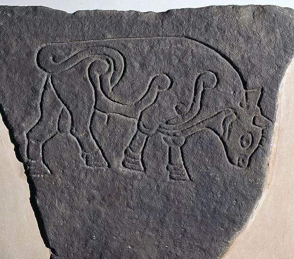 Pictish incised stone with a bull motif, 6th century