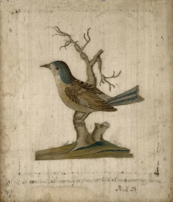 Framed Print : Picture of a Bird, France, 18th century. Creator: Unknown Framed Print : Picture of a Bird, France, 18th century. Creator: Unknown