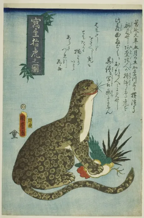 Framed Print : Picture of a Ferocious Tiger Drawn from Life (Shasei moko no zu), 1860 Framed Print : Picture of a Ferocious Tiger Drawn from Life (Shasei moko no zu), 1860