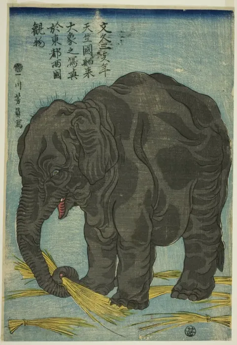 Framed Print : Picture of Large Elephant from India (Tenjiku hakurai dai zo no shashin), An Attraction at... 1863. Creator: Yoshikazu Framed Print : Picture of Large Elephant from India (Tenjiku hakurai dai zo no shashin), An Attraction at... 1863. Creator: Yoshikazu