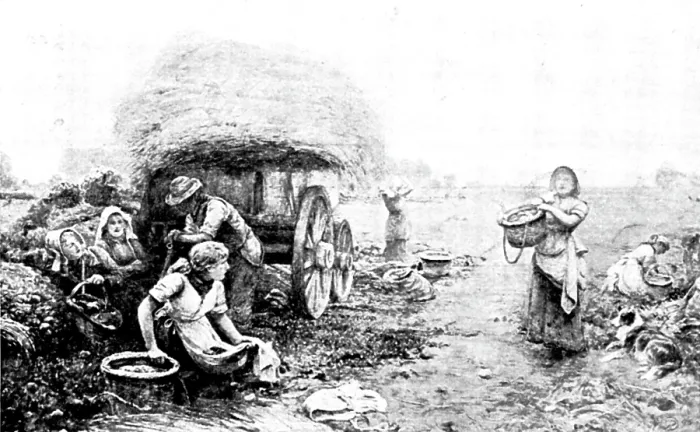 Framed Print : Pictures from the New Gallery: Potato Harvest, Malvern Hills - John Parker, 1895. Creator: George Meisenbach Framed Print : Pictures from the New Gallery: Potato Harvest, Malvern Hills - John Parker, 1895. Creator: George Meisenbach