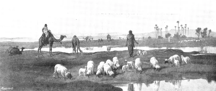 Framed Print : Pictures from the Royal Academy: Laban's Pasture: Jacob Serving for Rachel - F. Goodall, R.A. 1895 Framed Print : Pictures from the Royal Academy: Laban's Pasture: Jacob Serving for Rachel - F. Goodall, R.A. 1895