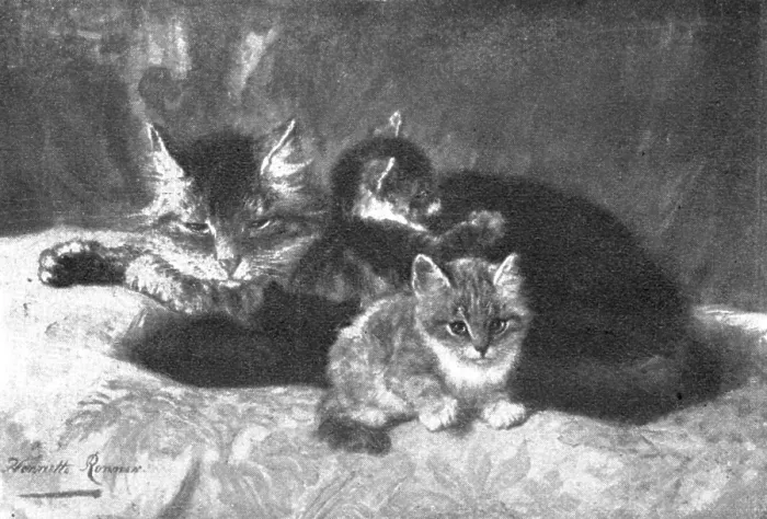 Framed Print : Pictures from the Royal Academy: Memories and Anticipations - Henriette Ronner, 1898. Creators: Unknown, Henriette Ronner Framed Print : Pictures from the Royal Academy: Memories and Anticipations - Henriette Ronner, 1898. Creators: Unknown, Henriette Ronner