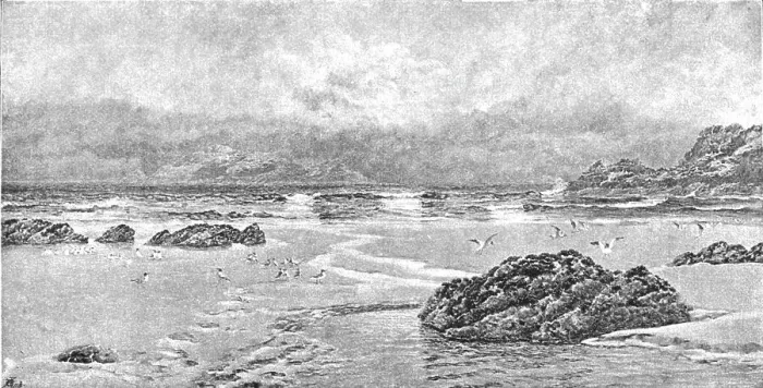 Framed Print : Pictures of the Year - V. Gull Island: A Conversazione, after John Brett, ARA, 1891. Creator: Unknown. Pictures of the Year - V. Gull Island: A Conversazione, after John Brett, ARA, 1891. Creator: Unknown Framed Print : Pictures of the Year - V. Gull Island: A Conversazione, after John Brett, ARA, 1891. Creator: Unknown. Pictures of the Year - V. Gull Island: A Conversazione, after John Brett, ARA, 1891. Creator: Unknown