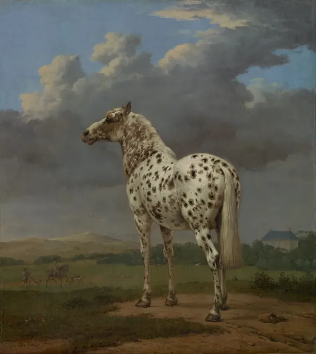 Framed Print : Piebald Horse, ca 1654. Artist: Potter, Paulus (1625-1654) Framed Print : Piebald Horse, ca 1654. Artist: Potter, Paulus (1625-1654)