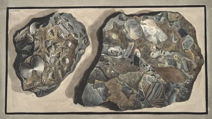 Framed Print : Piece of marble composed of fragments of various sorts of marble found in the Fossa Grande, 1776 Framed Print : Piece of marble composed of fragments of various sorts of marble found in the Fossa Grande, 1776