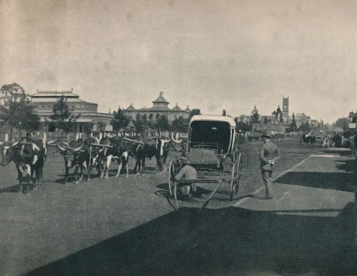 Framed Print : Pietermaritzburg, c1900. Creator: Unknown Framed Print : Pietermaritzburg, c1900. Creator: Unknown
