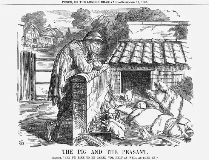 Framed Print : The Pig and The Peasant, 1863. Artist: John Tenniel Framed Print : The Pig and The Peasant, 1863. Artist: John Tenniel