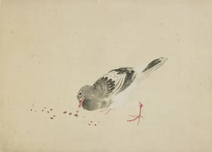 Framed Print : Pigeon, late 18th-early 19th century. Creator: Hokusai Framed Print : Pigeon, late 18th-early 19th century. Creator: Hokusai
