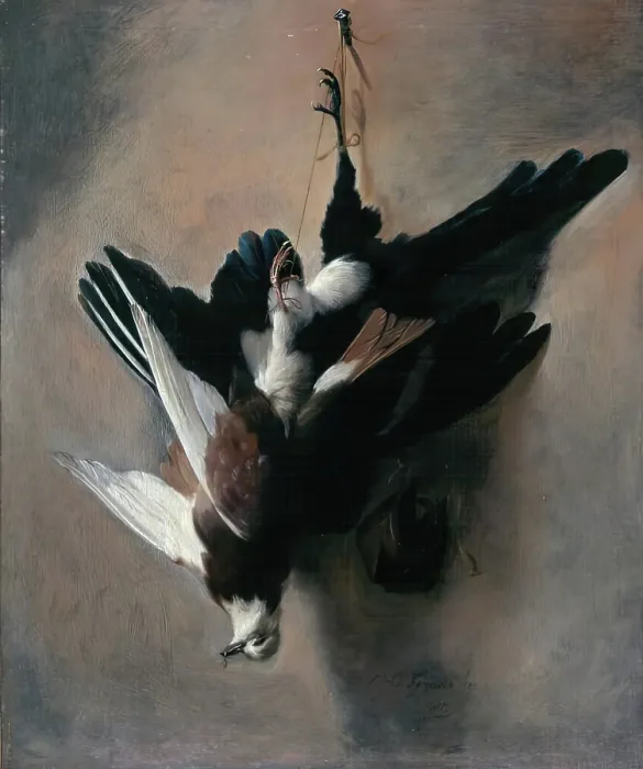 Framed Print : A Pigeon and Magpie, 1685. Creator: William Gowe Ferguson Framed Print : A Pigeon and Magpie, 1685. Creator: William Gowe Ferguson