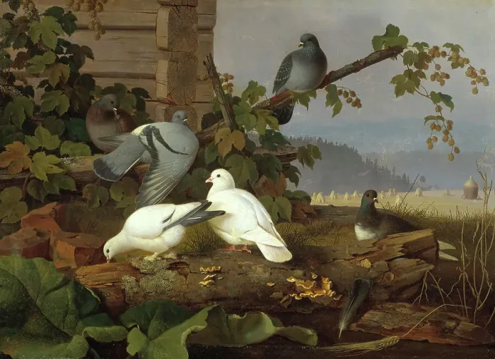 Framed Print : Pigeons, 19th-early 20th century. Creator: Ferdinand von Wright Framed Print : Pigeons, 19th-early 20th century. Creator: Ferdinand von Wright