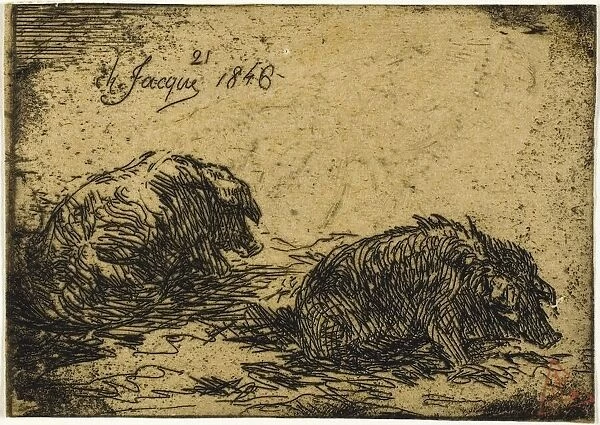 Two Pigs Lying Down, 1846. Creator: Charles Emile Jacque
