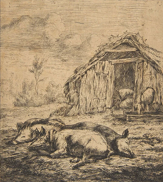 Three Pigs Lying in Front of a Shed, 1850. Creator: Charles Meryon