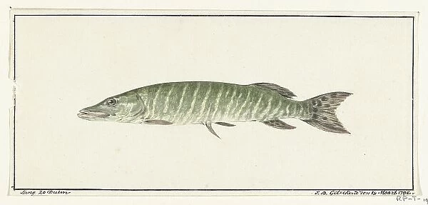 Pike, 1796. Creator: Jean Bernard