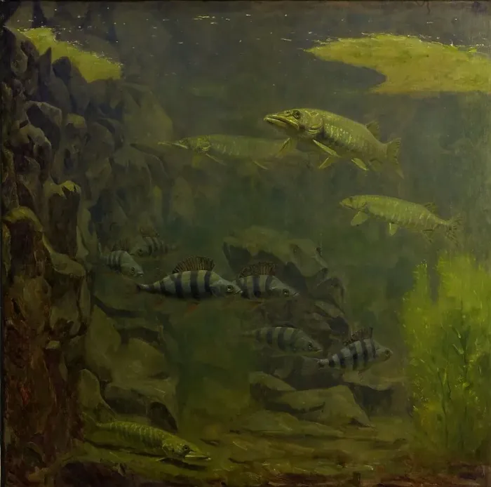 Framed Print : Pike and Perch in an Aquaruim, 1910-1920. Creator: Gerrit Willem Dijsselhof Framed Print : Pike and Perch in an Aquaruim, 1910-1920. Creator: Gerrit Willem Dijsselhof