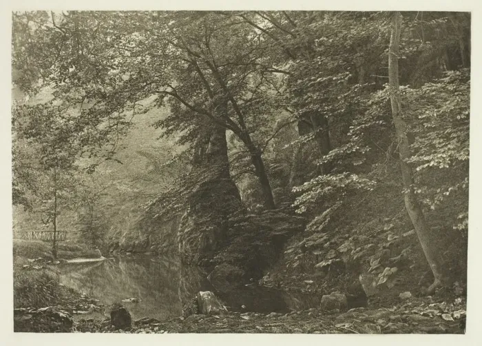 Framed Print : Pike Pool (from below), 1880s. Creator: Peter Henry Emerson