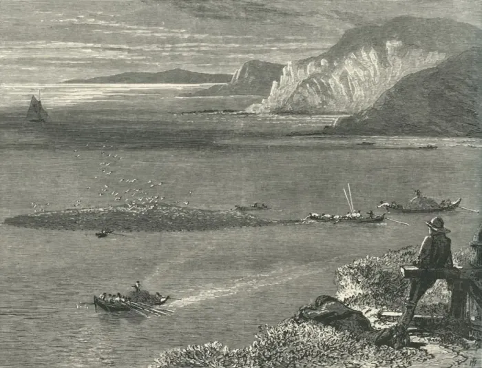 Framed Print : Pilchard Fishing off the Lizard, c1870 Framed Print : Pilchard Fishing off the Lizard, c1870