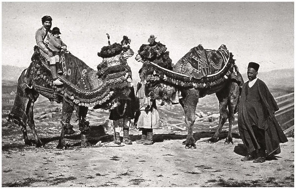 Pilgrims with their camels on their way to Karbala, Iraq, 1925. Artist: A Kerim