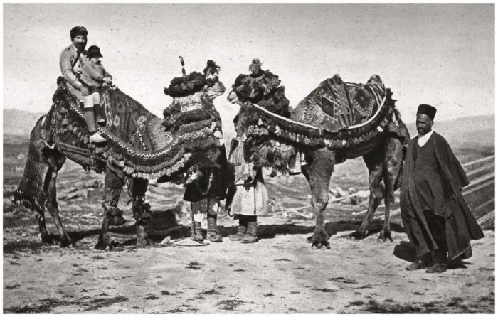 Framed Print : Pilgrims with their camels on their way to Karbala, Iraq, 1925. Artist: A Kerim Framed Print : Pilgrims with their camels on their way to Karbala, Iraq, 1925. Artist: A Kerim
