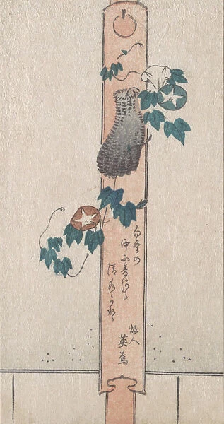 Pillar Print, 18th-19th century. Creator: Unknown