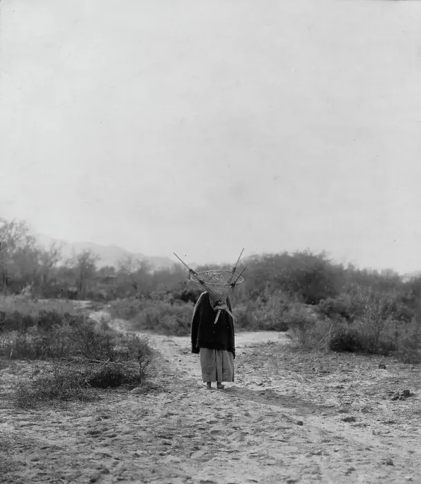 Framed Print : Pima woman, with burden basket on back, walking away from camera, Pima, Arizona, c1907. Creator: Edward Sheriff Curtis Framed Print : Pima woman, with burden basket on back, walking away from camera, Pima, Arizona, c1907. Creator: Edward Sheriff Curtis