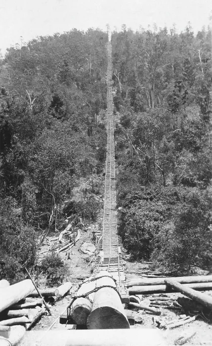 Framed Print : Pine Chute, Biarra, 1925. Creator: Jack Bain Framed Print : Pine Chute, Biarra, 1925. Creator: Jack Bain