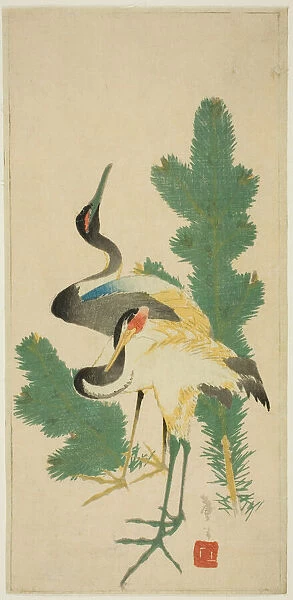 Pine and cranes, Japan, c. 1830  /  44. Creator: Katsushika Taito