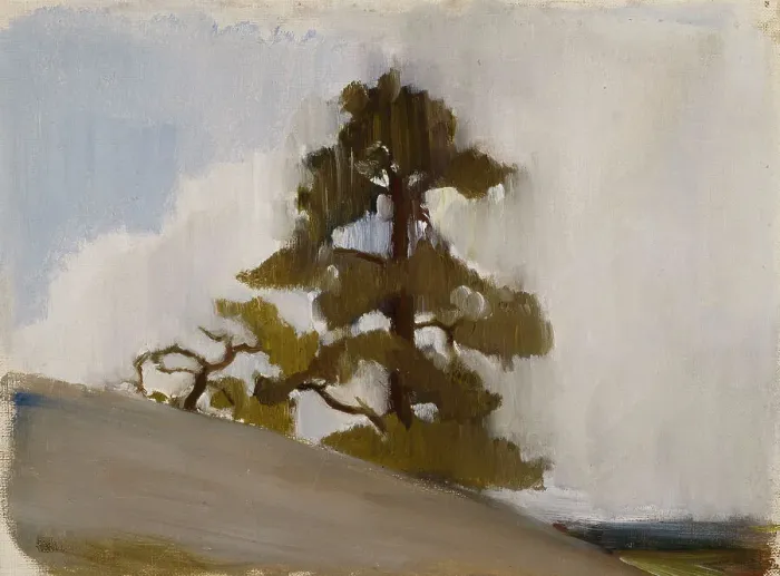 Framed Print : Pine. Creator: Einar Ilmoni Framed Print : Pine. Creator: Einar Ilmoni
