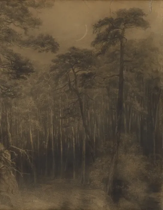 Framed Print : Pine forest, 1892-1893. Creator: Ludovit Cordak Framed Print : Pine forest, 1892-1893. Creator: Ludovit Cordak