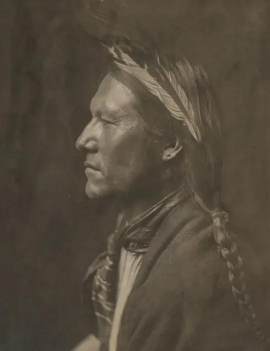 Framed Print : Pine Tree, 1905. Creator: Edward Sheriff Curtis Framed Print : Pine Tree, 1905. Creator: Edward Sheriff Curtis