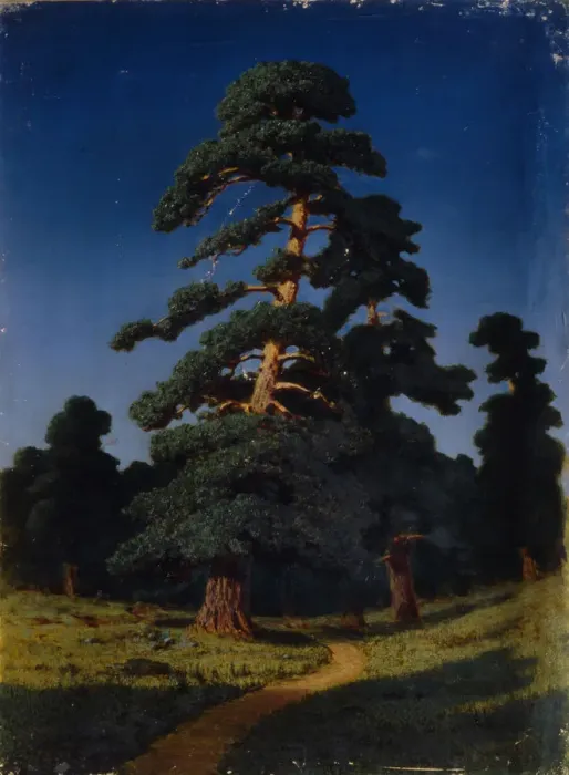 Framed Print : Pine Tree. Artist: Kuindzhi, Arkhip Ivanovich (1842-1910) Framed Print : Pine Tree. Artist: Kuindzhi, Arkhip Ivanovich (1842-1910)