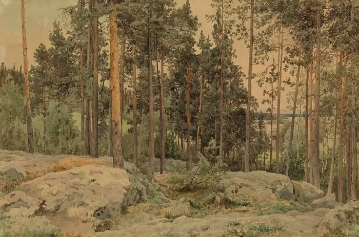 Framed Print : A pine tree near the lake shore, 1857. Creator: Werner Holmberg Framed Print : A pine tree near the lake shore, 1857. Creator: Werner Holmberg
