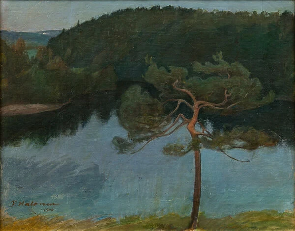 Pine tree by the shore, 1900