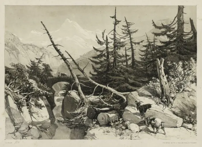 Framed Print : Pine Trees and Bridge, 1841. Creator: James Duffield Harding (British, 1798-1863) Framed Print : Pine Trees and Bridge, 1841. Creator: James Duffield Harding (British, 1798-1863)