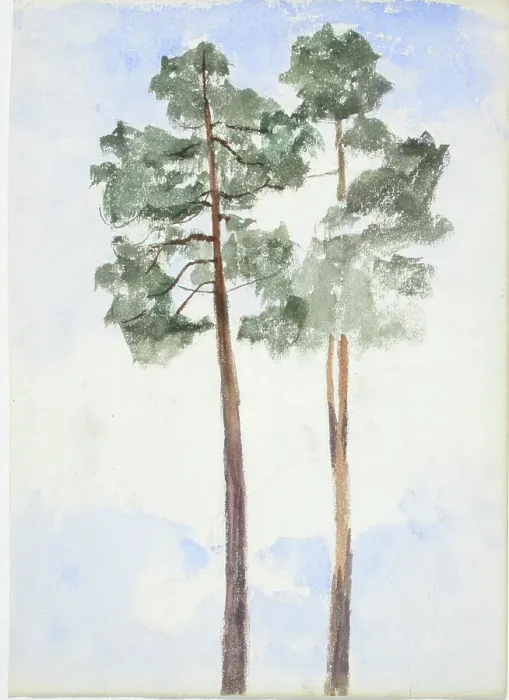 Framed Print : Two pine trees. Creator: Maria Wiik Framed Print : Two pine trees. Creator: Maria Wiik