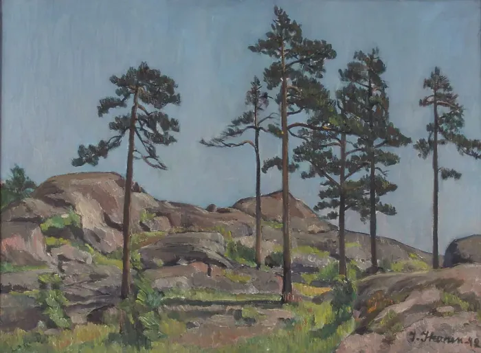 Framed Print : Pine trees on rocky ground, 1942. Creator: Ilmari Ikonen Framed Print : Pine trees on rocky ground, 1942. Creator: Ilmari Ikonen