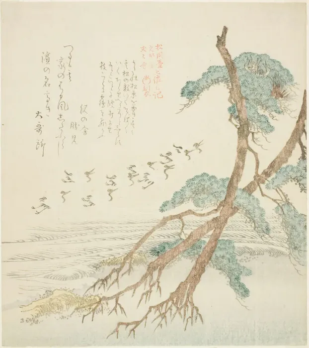 Framed Print : Pine Trees, from the series Tosa Diary for the Shofudai, Hisakataya, and Bu... early 19th century. Creator: Kubo Shunman Framed Print : Pine Trees, from the series Tosa Diary for the Shofudai, Hisakataya, and Bu... early 19th century. Creator: Kubo Shunman