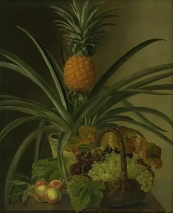 Framed Print : A pineapple and other fruits, 1832. Creator: Johan Laurentz Jensen Framed Print : A pineapple and other fruits, 1832. Creator: Johan Laurentz Jensen