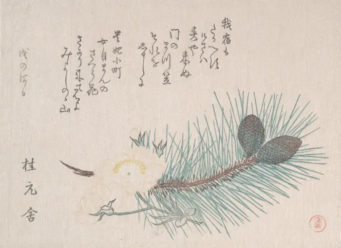 Framed Print : Pines and Cherry Blossoms, probably 1814. Creator: Kubo Shunman Framed Print : Pines and Cherry Blossoms, probably 1814. Creator: Kubo Shunman