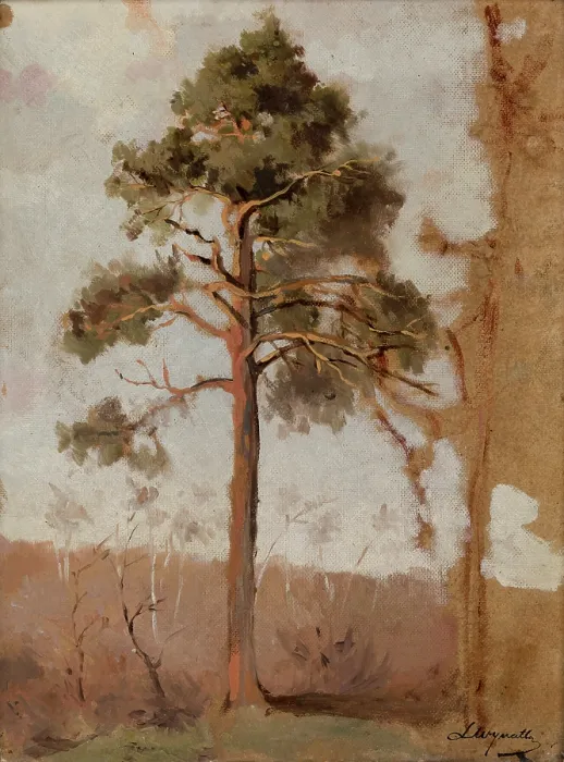 Framed Print : Pines at Polaga, between 1906-1910. Creator: Leon Wyczolkowski Framed Print : Pines at Polaga, between 1906-1910. Creator: Leon Wyczolkowski