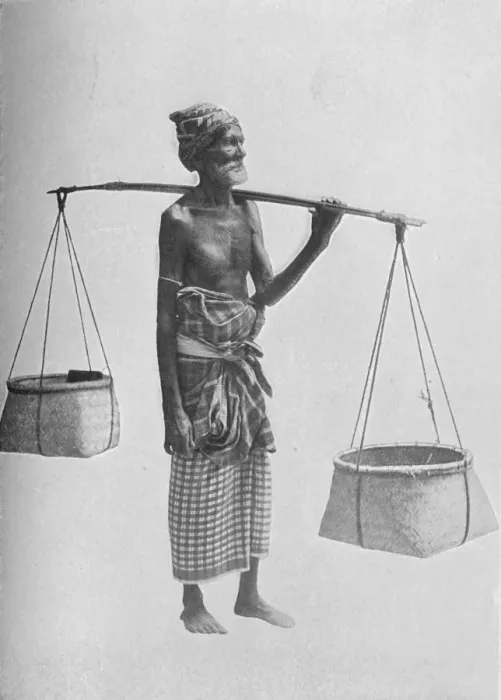 Framed Print : Pingo Carrier, c1890, (1910). Artist: Alfred William Amandus Plate Framed Print : Pingo Carrier, c1890, (1910). Artist: Alfred William Amandus Plate