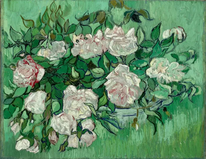 Framed Print : Pink Roses Framed Print : Pink Roses