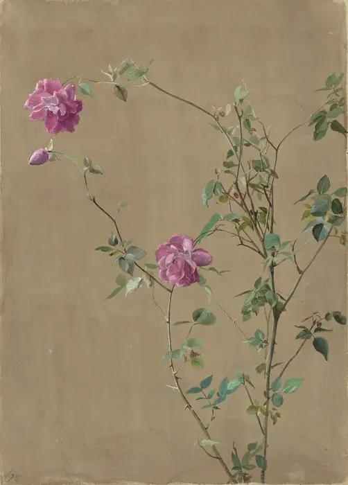 Framed Print : Pink Roses, 1875. Creator: Fidelia Bridges Framed Print : Pink Roses, 1875. Creator: Fidelia Bridges