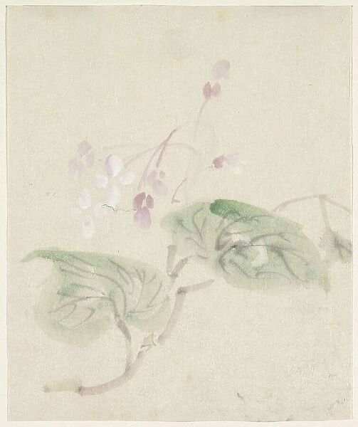 Pink wisteria, 1808-1861. Creator: Utagawa Kuniyoshi