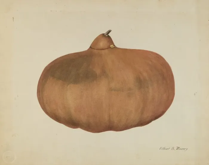 Framed Print : Pioneer Salt Gourd, 1935  /  1942. Creator: Elbert S. Mowery