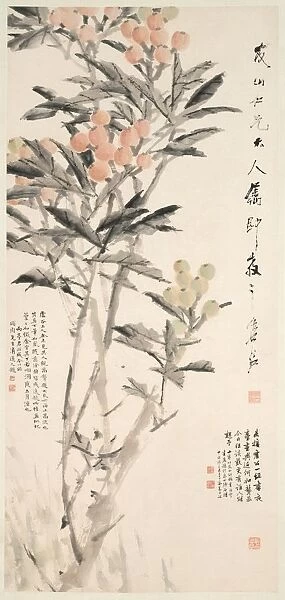 Pipa (Loquats), c. 1888-89. Creator: Xugu (Chinese, 1823-1896)